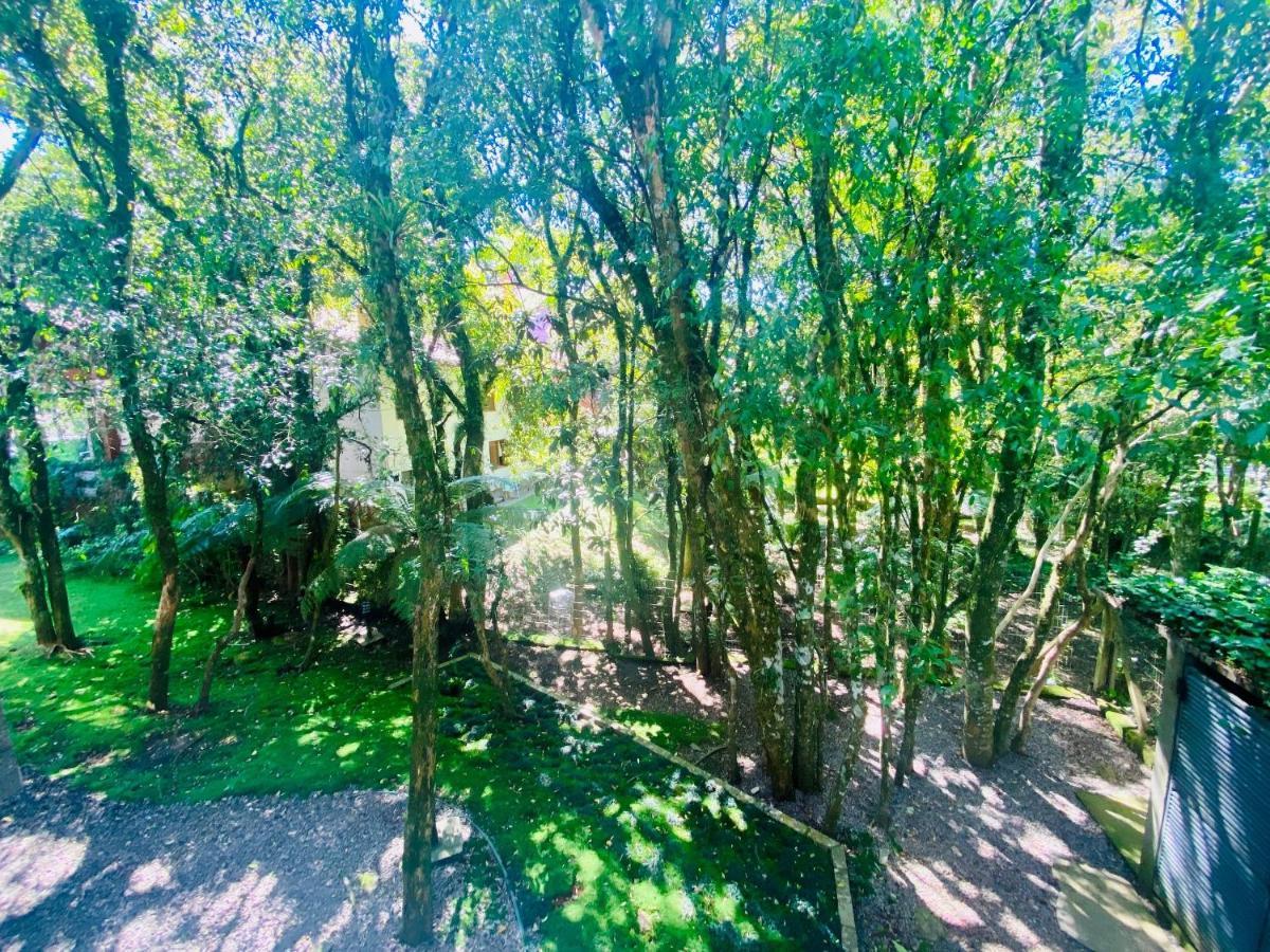 Sonnenhaus - Excelente Localizacao - Bairro Nobre - Viva Esse Sonho *